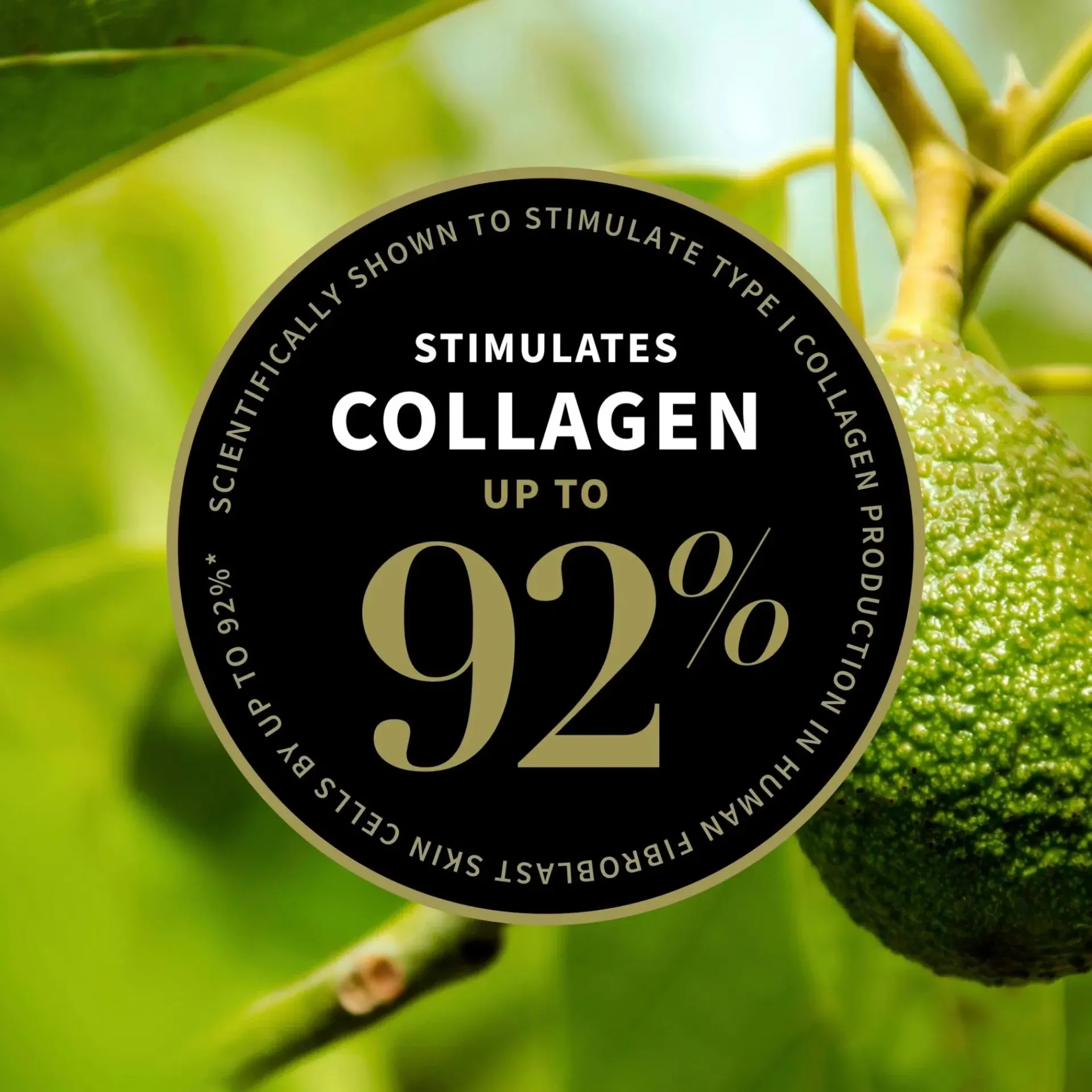 Antipodes Matkakokoiset Tuotteet|Kasvojenhoito<Avocado Pear Collagen-Boosting Night Cream matkakokoinen yövoide 15 ml