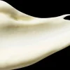 Antipodes Kasvojenhoito<Kiwi Seed Oil Eye Cream 30 ml
