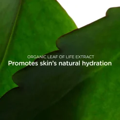 Clarins Kasvojenhoito<Fresh Scrub kasvokuorinta 50ml