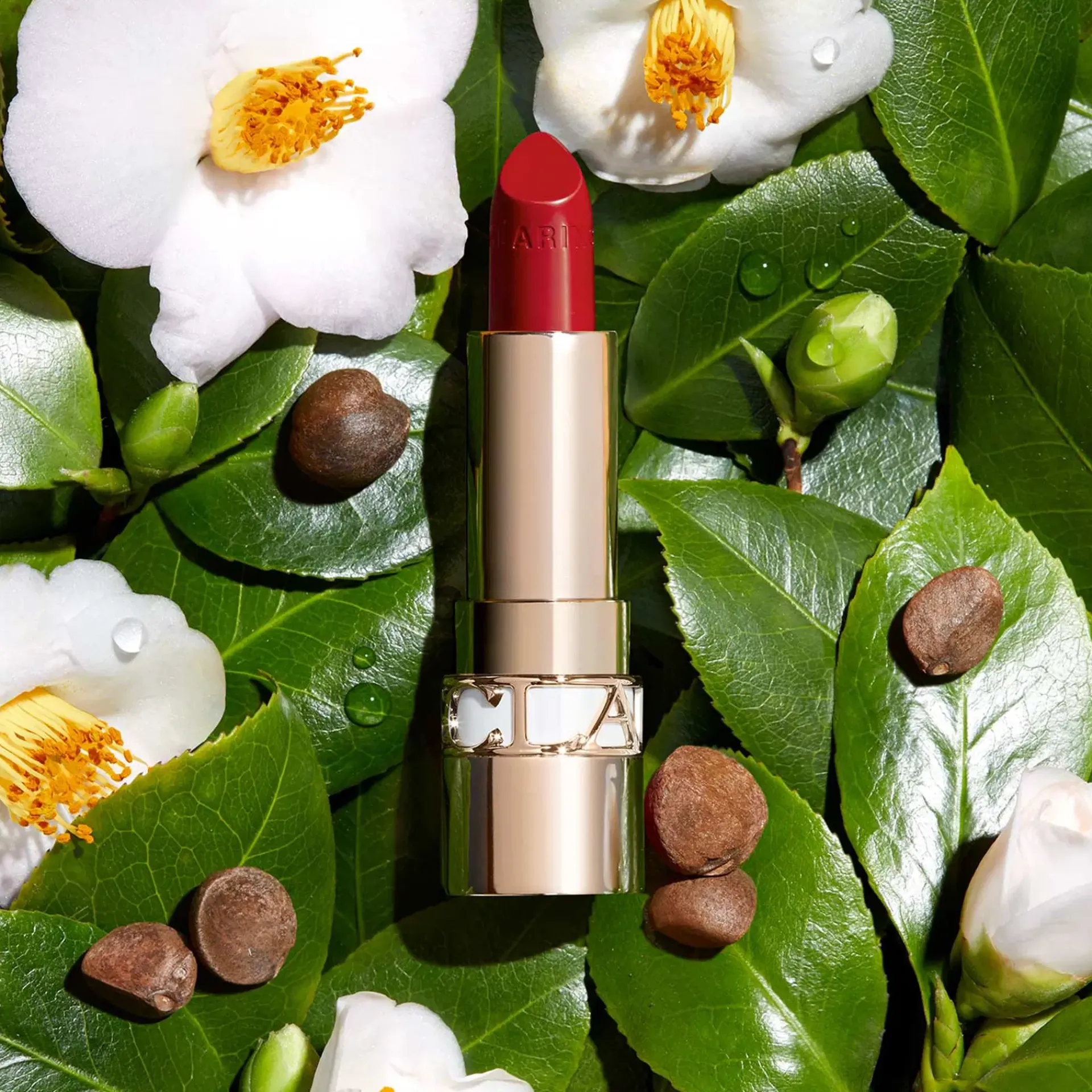 Clarins Huulimeikit<Joli Rouge huulipuna 3,5 g