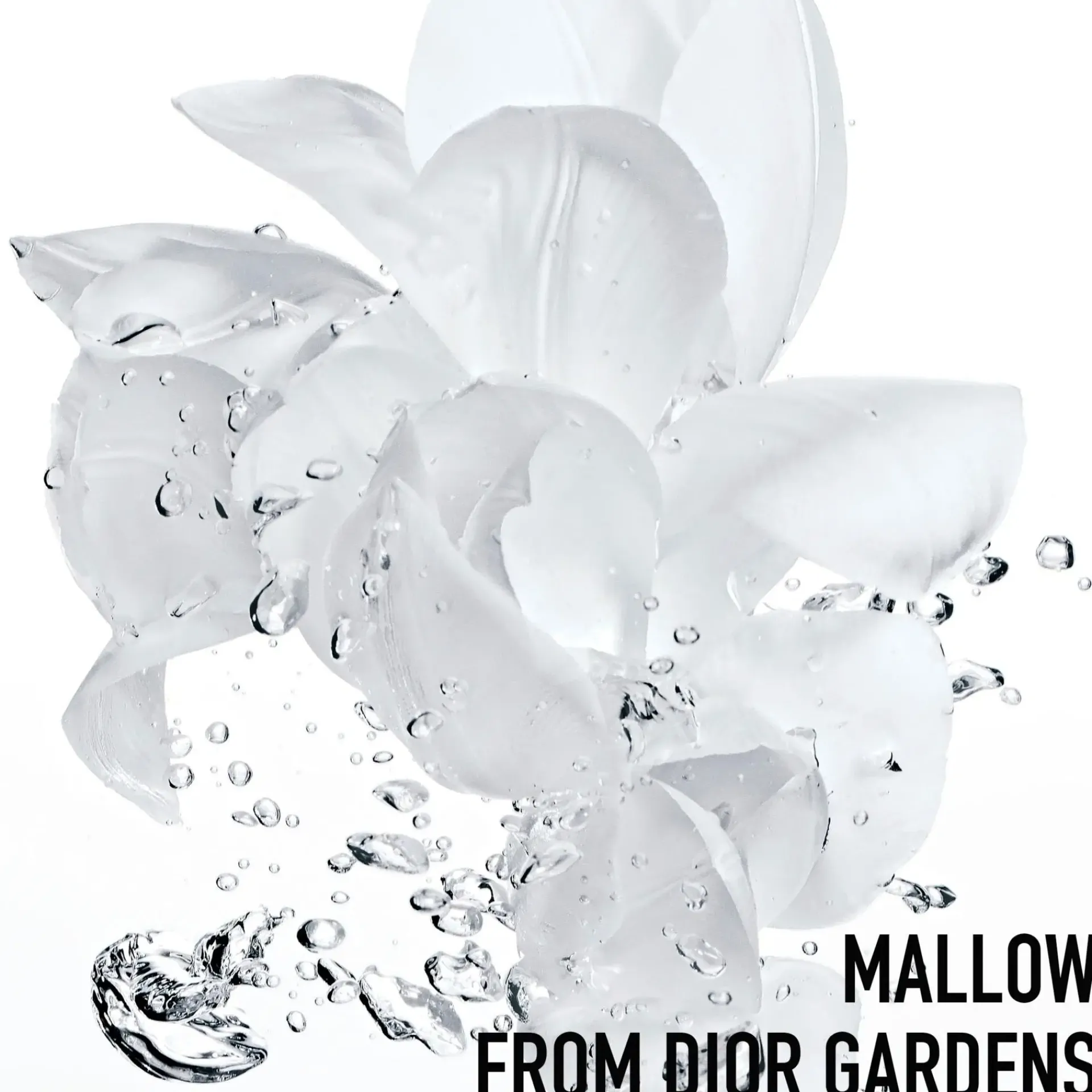 DIOR Kasvojenhoito<Hydra Life Balancing hydration 2 in 1 sorbet water hoitoneste 175 ml