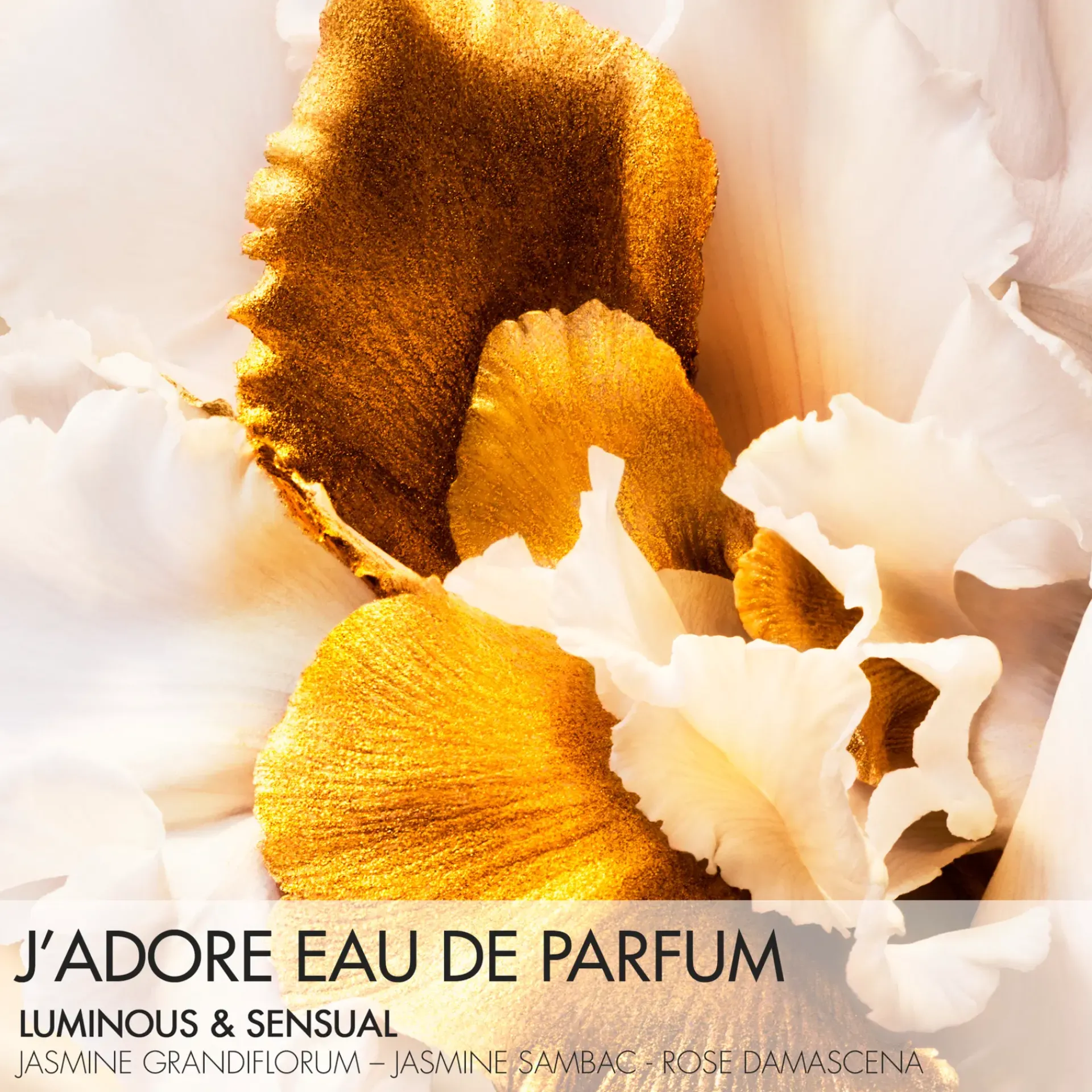DIOR Hajuvedet<J'Adore Eau de Parfum 100ml
