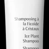 Dr. Hauschka Hiukset|Hiukset<Ice Plant Shampoo Jääruoho shampoo 150 ml
