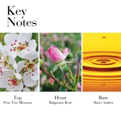 Elizabeth Arden Hajuvedet|Vartalonhoito<White Tea Wild Rose Body Cream vartalovoide 400 ml