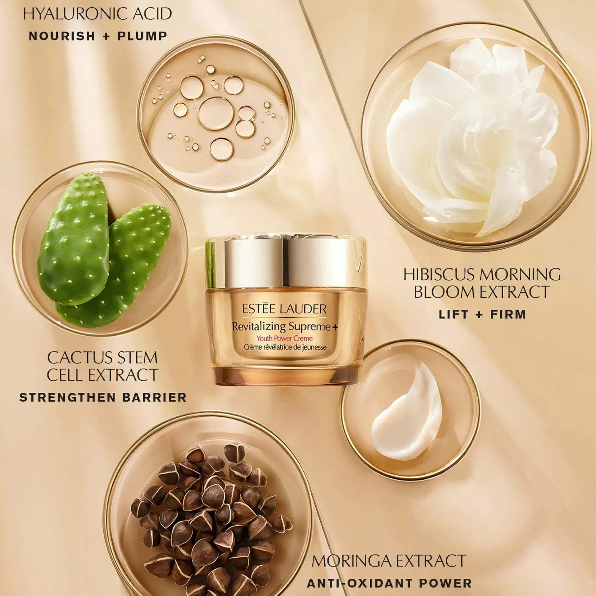 Estée Lauder Ihonhoidon Tehoaineet|Kasvojenhoito<Revitalizing Supreme+ Youth Power Creme päivävoide 50 ml