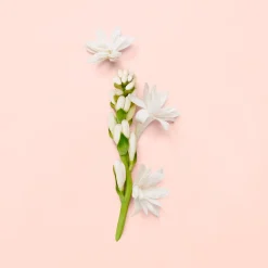 Gucci Hajuvedet<Bloom EdP tuoksu 30 ml