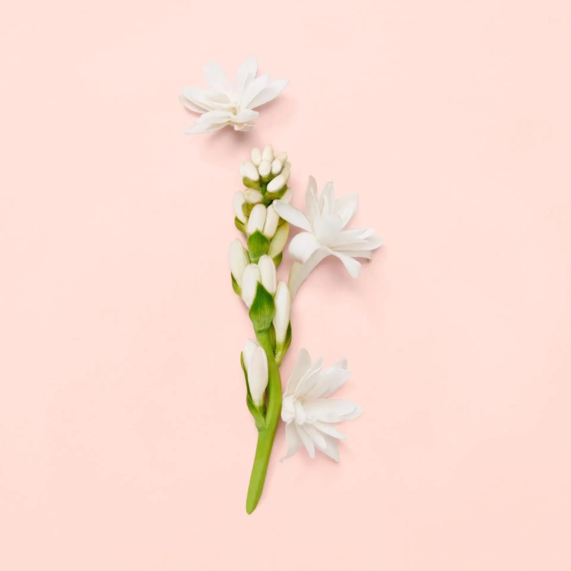 Gucci Hajuvedet<Bloom EdP tuoksu 30 ml