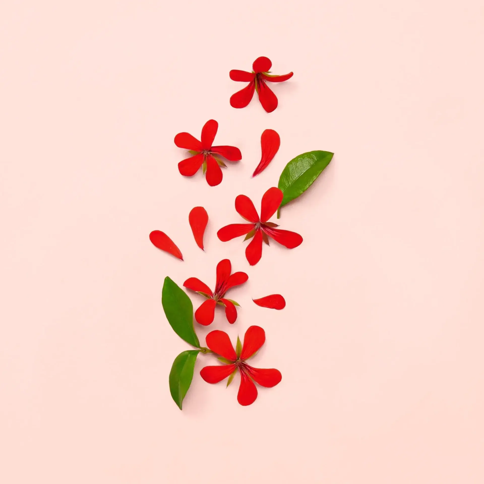 Gucci Hajuvedet<Bloom EdP tuoksu 30 ml