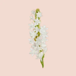 Gucci Hajuvedet<Bloom Parfum tuoksu 30 ml