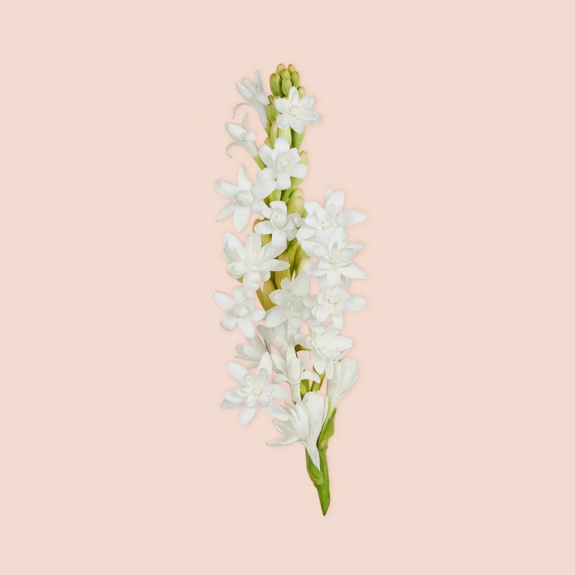 Gucci Hajuvedet<Bloom Parfum tuoksu 30 ml