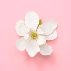 Gucci Hajuvedet<Flora Gorgeous Jasmin for Woman EdP tuoksu 30 ml