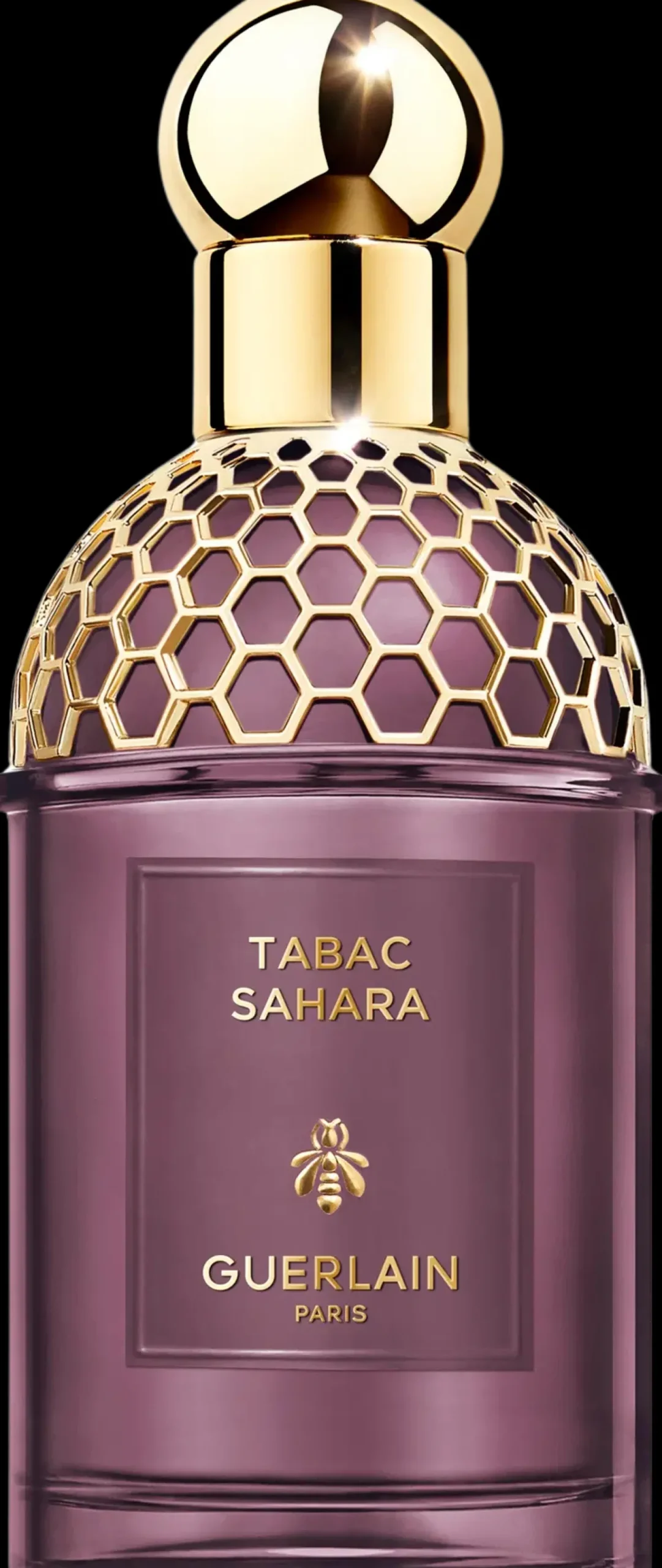 Guerlain Hajuvedet<Absolus Allegoria Tabac Sahara 75ml