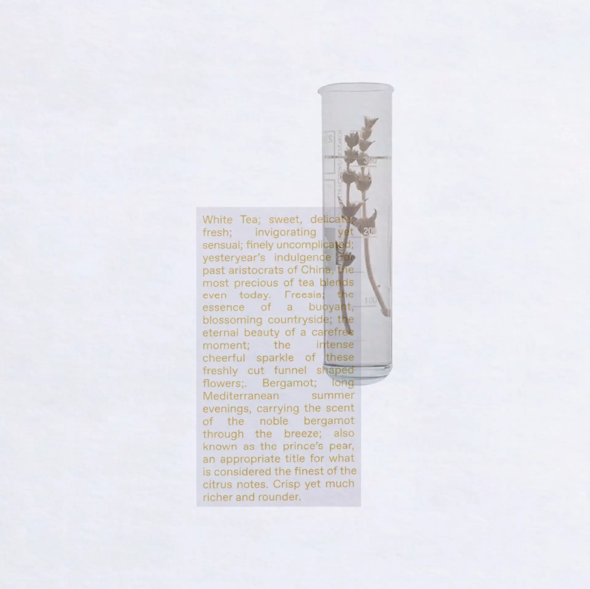 Korres Hajuvedet<White Tea Eau de Toilette 100ml