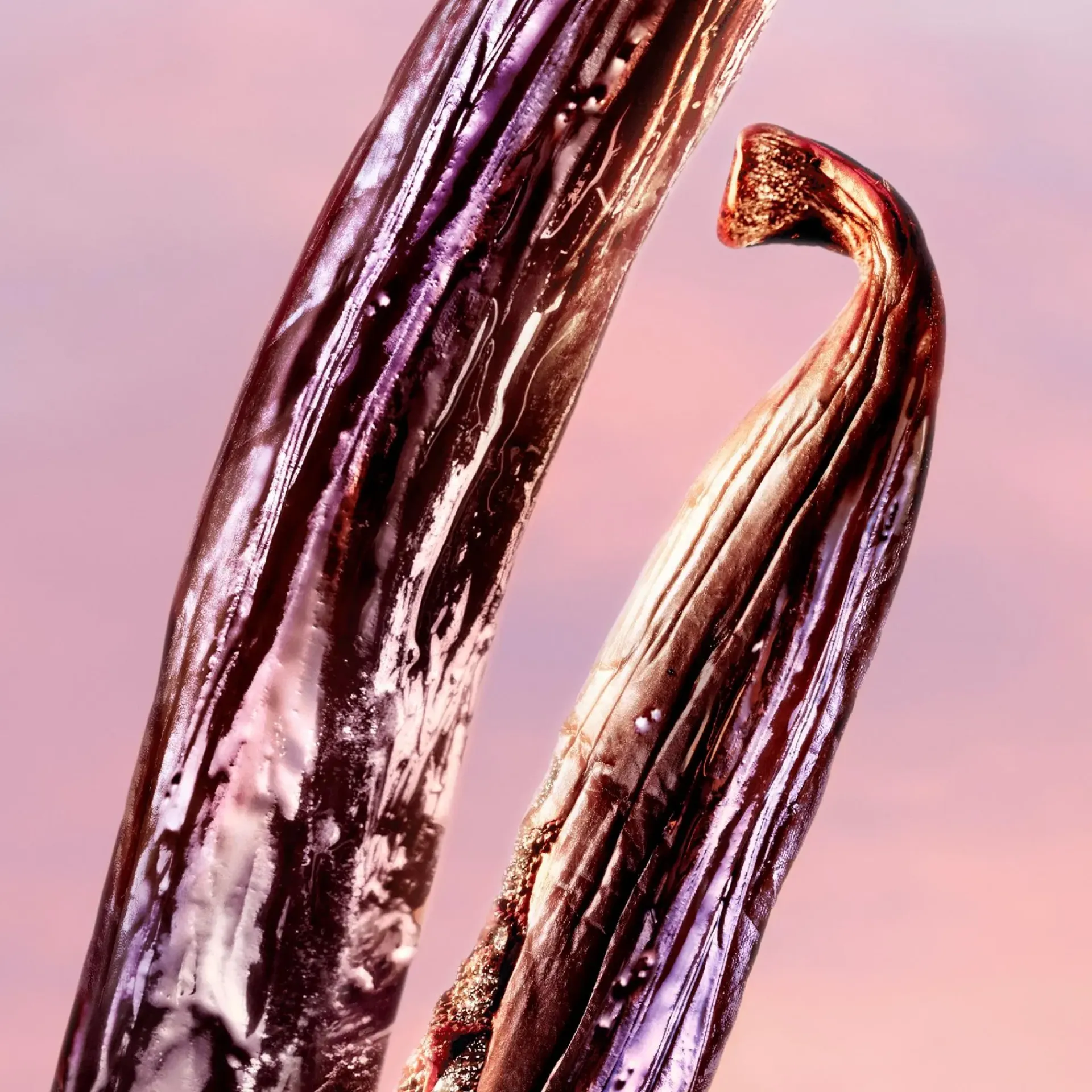 Lancôme Hajuvedet<La vie est Belle Vanille Nude 30 ml -tuoksu