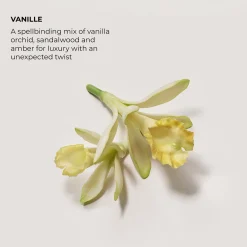 Laura Mercier Hajuvedet<Eau de Parfum Vanille 50 ml -tuoksu