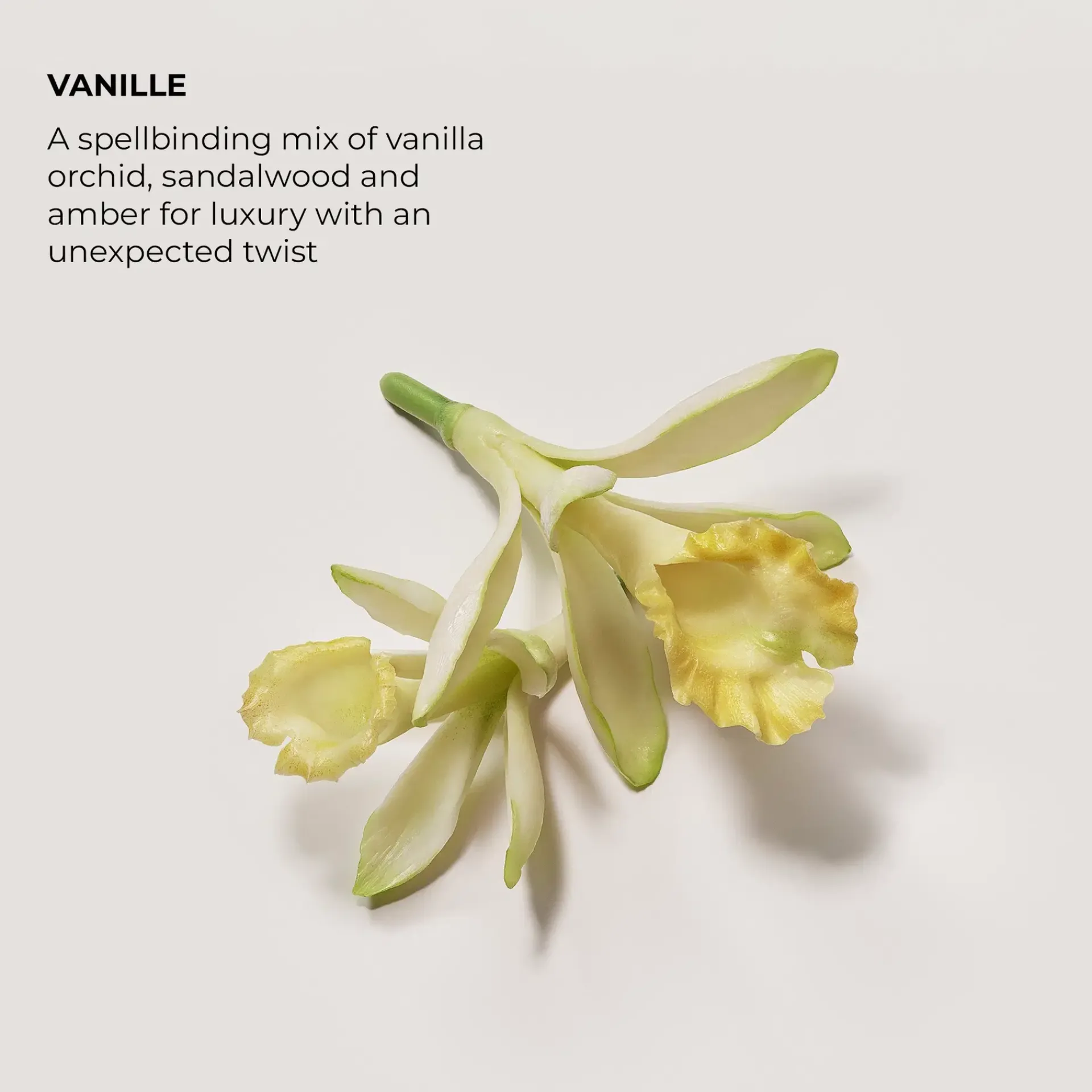 Laura Mercier Hajuvedet<Eau de Parfum Vanille 50 ml -tuoksu