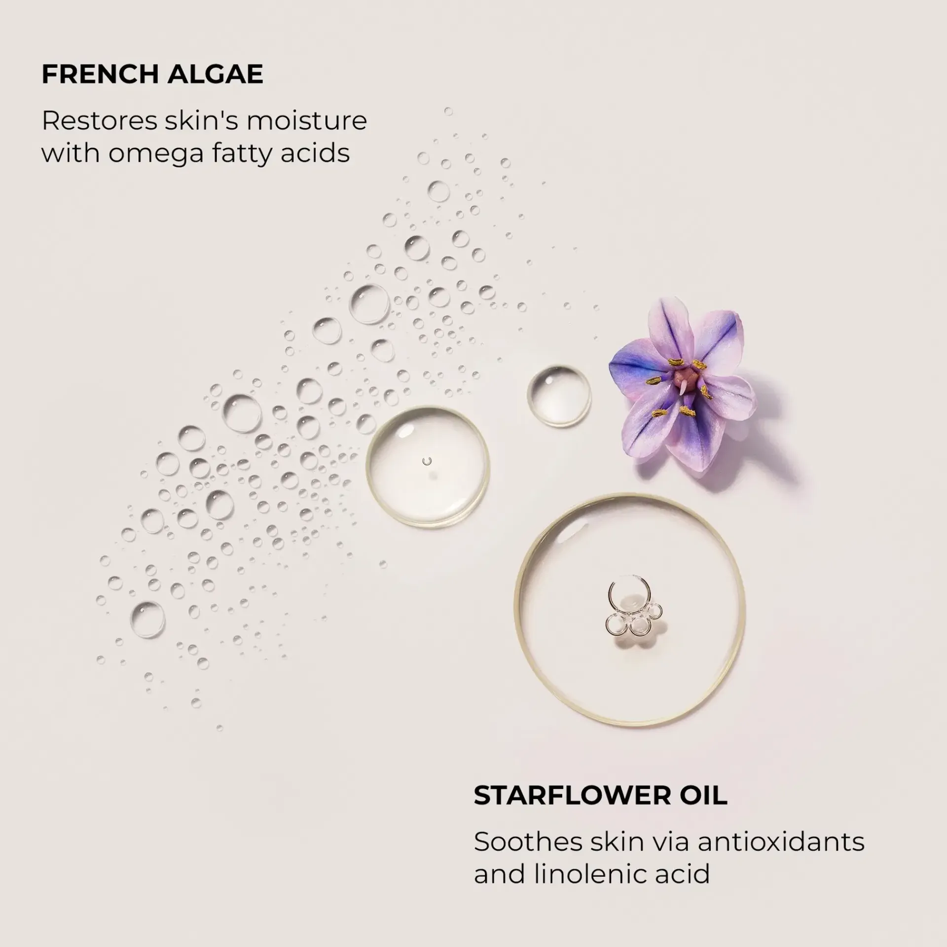 Laura Mercier Vartalonhoito<Serum Body Cream Almond Coconut vartalovoide 200 ml
