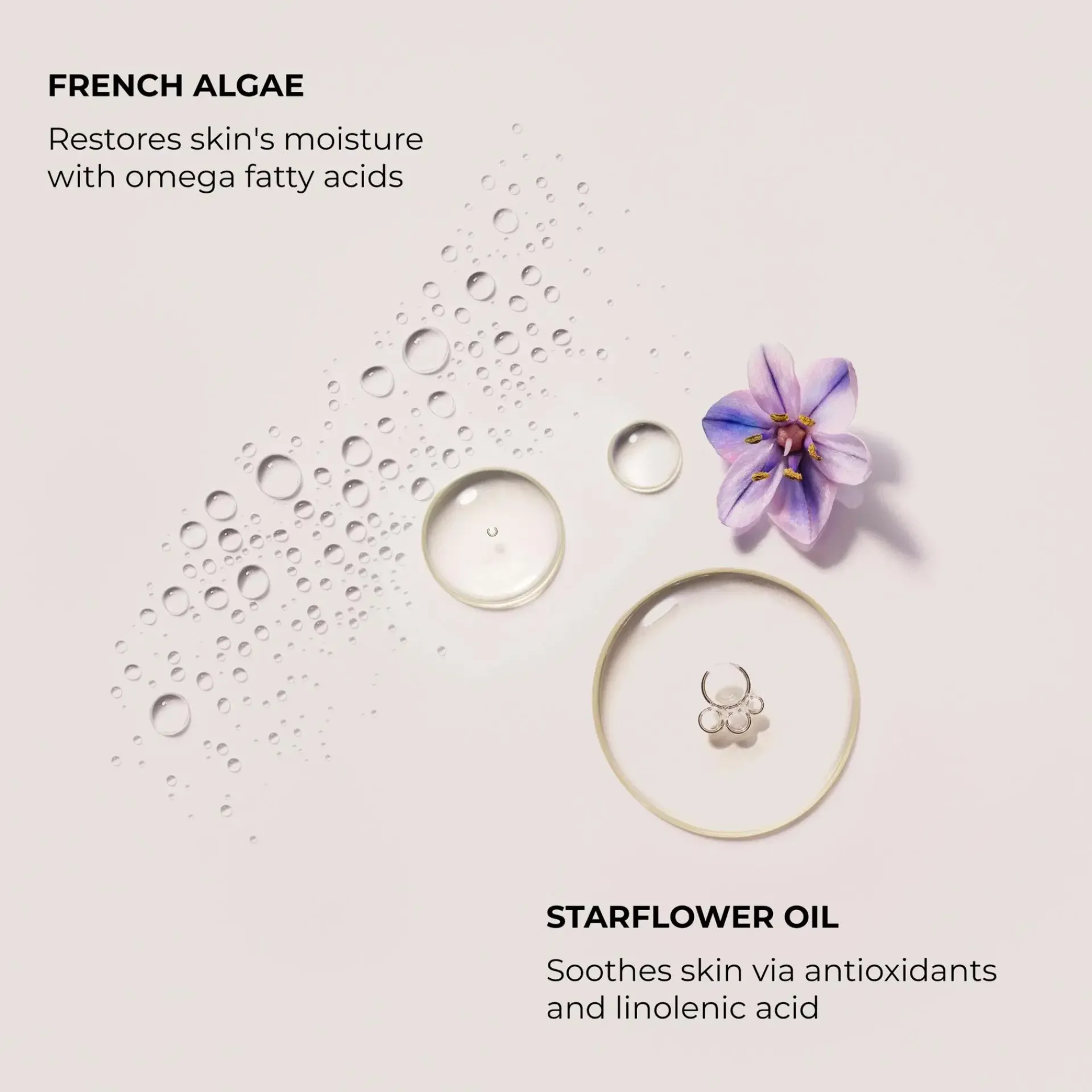 Laura Mercier Käsienhoito<Soufflé Hand Cream Ambre Vanille käsivoide 50 ml
