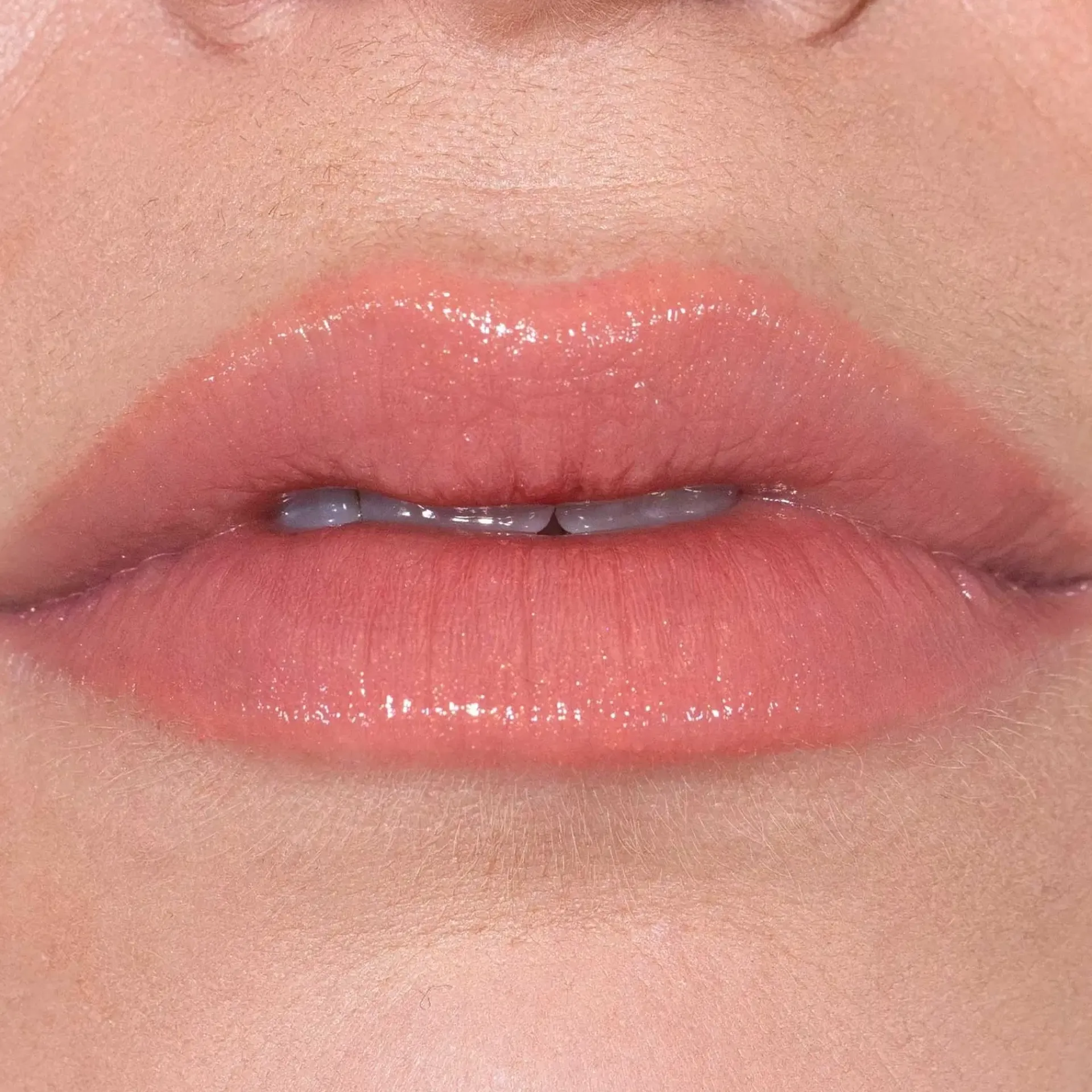 LH Cosmetics Huulimeikit<Fantastick -huulipuna 2 g