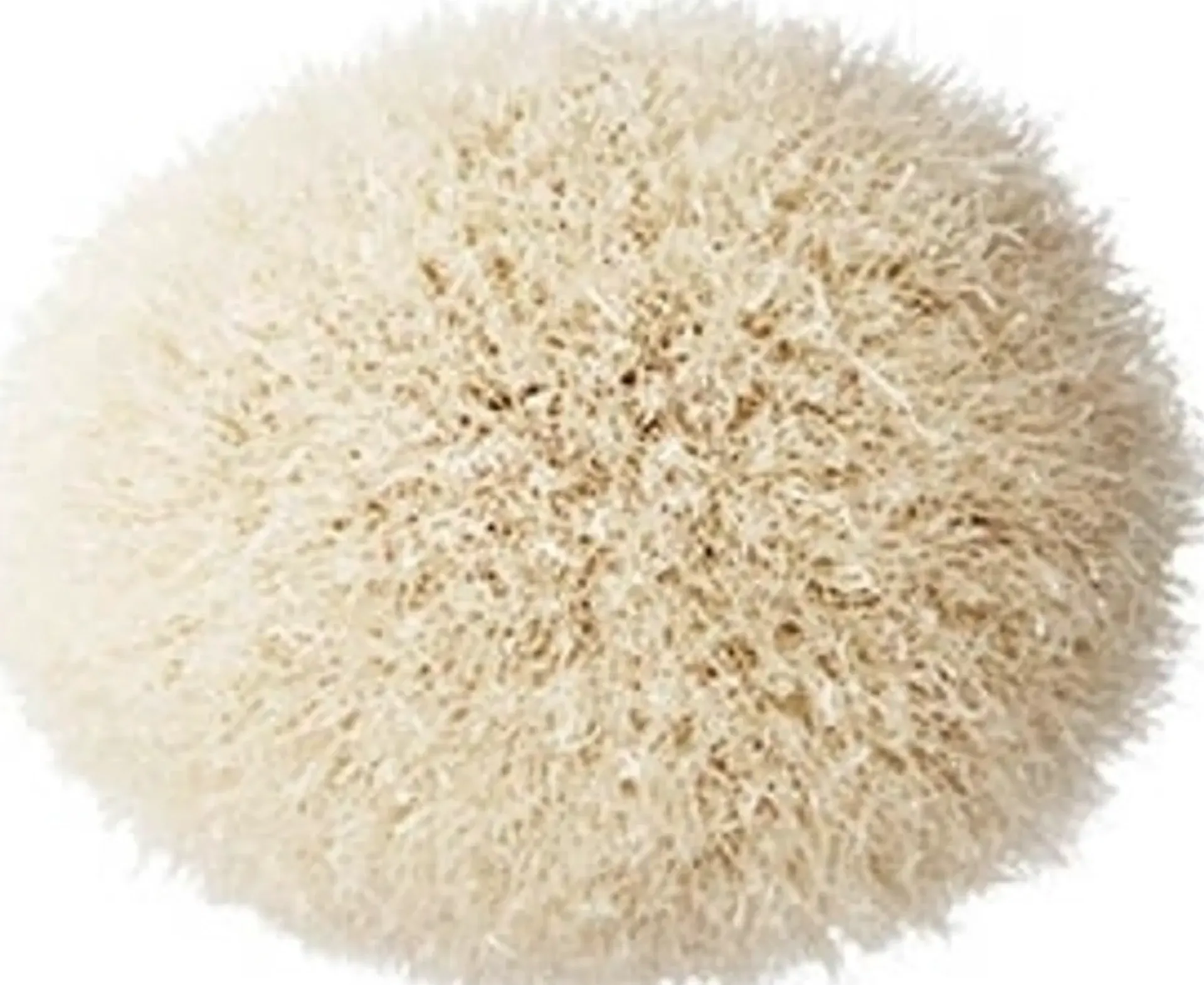 Mac Cosmetics Meikkisiveltimet Ja -Välineet<MAC Large Angled Contour Brush 168s sivellin