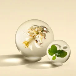 Molton Brown Hajuvedet<Orange & Bergamot EdP tuoksu 100 ml