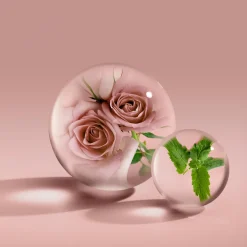 Molton Brown Hajuvedet<Rose Dunes EdP tuoksu 100 ml