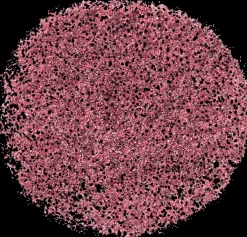 NYX Professional Makeup Kasvomeikit<Face & Body Glitter kimalle kasvoille ja vartalolle 2,5 g