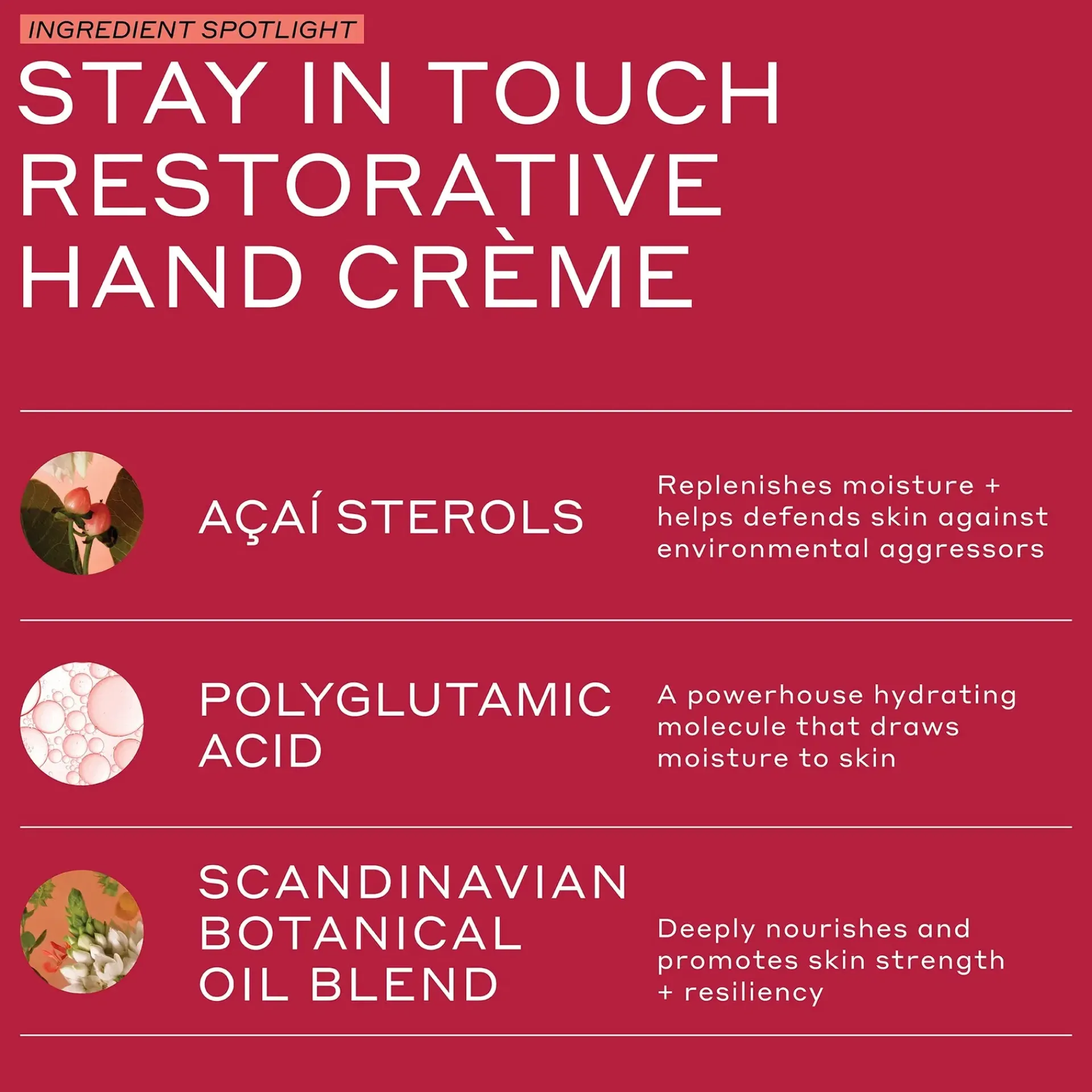 Ole Henriksen Käsienhoito<OleHenriksen Touch Stay in Touch Hand Cream käsivoide 75 ml