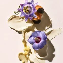Sol De Janeiro Vartalonhoito<Delicia Drench Body Butter vartalovoide 240 ml