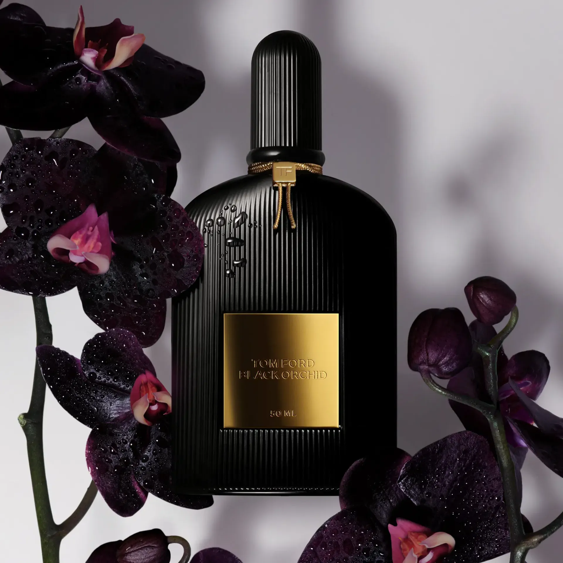 Tom Ford Unisex Tuoksut|Hajuvedet<Black Orchid Parfum tuoksu 150 ml