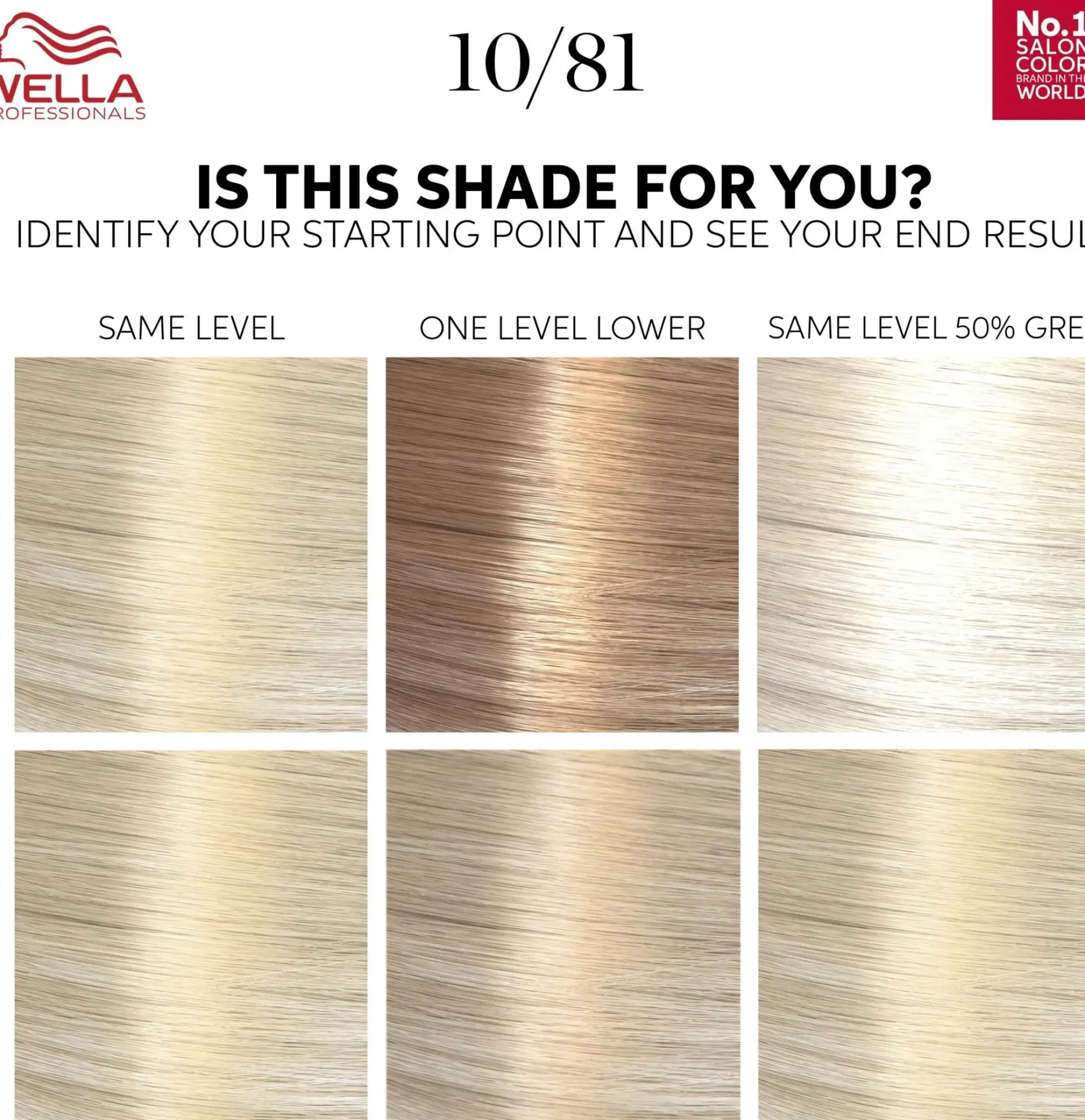 Wella Professionals Hiusvärit<Color Touch Rich Natural Platinum Blonde 10/81 kotiväri 130 ml