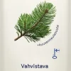 XZ Hiustenhoito<200 ml Havu vahvistava hoitoaine