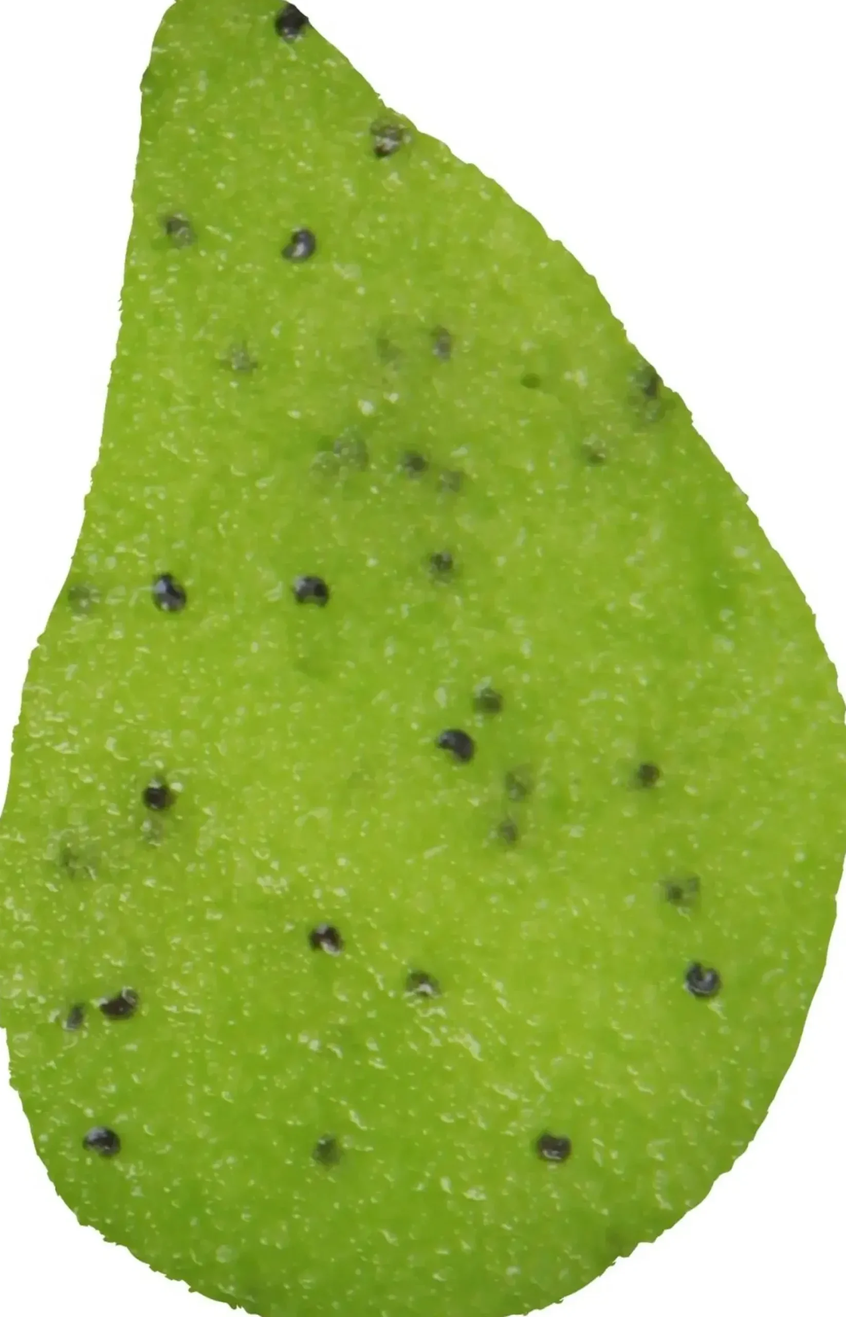 Beauty Jar Vartalonhoito<Yummy! Kiwi Kisses Body Scrub
